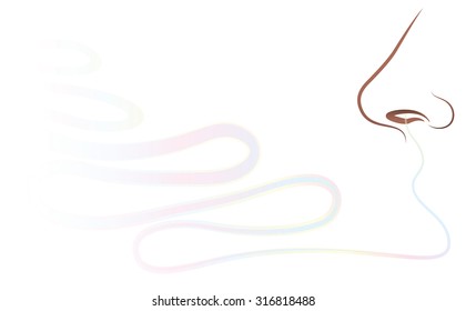 Nose - smelling a fragrance. Isolated outline vector illustration on white background.