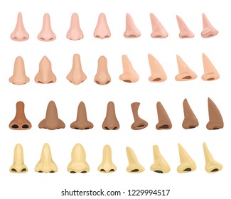 Nose vector human male face part nosey breathing smell illustration set of anatomy man breathe nosed organ roman-nose snub-nosed and pug-nosed isolated on white background