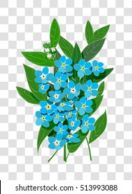 Nosegay of forget-me-nots. Small bunch of flowers. A bouquet of forget-me-nots on a transparent background.