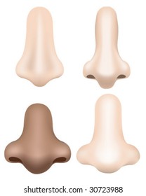 Noses - Vector Illustration (Made with Gradient Meshes)