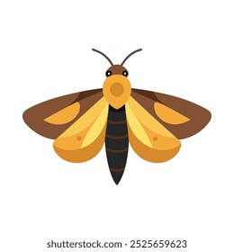 Noseum Moth insect isolated flat vector illustration white background