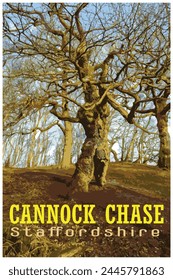 Nostalgic retro travel poster of Cannock Chase, Staffordshire, England, UK in the style of Work Projects Administration.