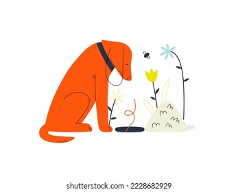 Not found - Online shopping and electronic commerce series - modern flat vector concept illustration of a dog sitting next to an empty pit. Missing artcile, sale and online orders concept