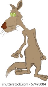 Not purebred cat