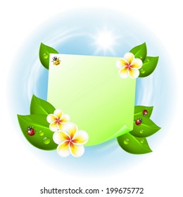 Note with leaves, drops of dew, ladybird and flowers. EPS10 vector.