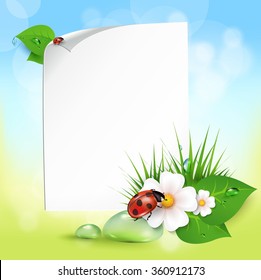 Note with leaves, drops of dew, ladybird and flowers. EPS10 vector.