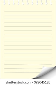 note pad paper line with ripped holes