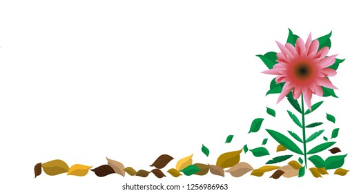 Note Paper. Flowers on a white background with empty space for text. 