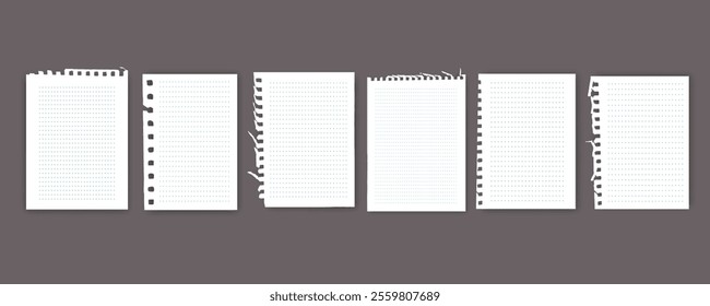 Notebook or book page, Sheets from notebook, Vector illustration