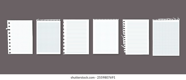 Notebook or book page, Sheets from notebook, Vector illustration