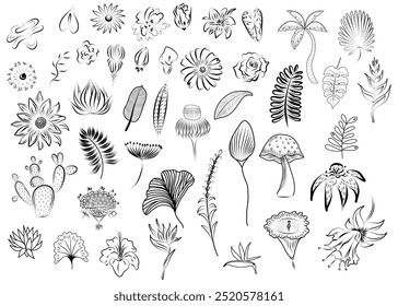 Nature’s notebook with flowers and leaves 