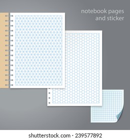 Notebook pages and sticker. Triangle, hexagon, square