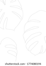 Concepto de fondo de papel portátil con esquema de hojas monsteras