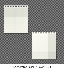 Notebook paper with lines isolated on background. Vector illustration.