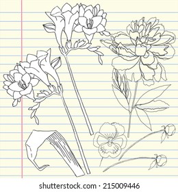 Notebook set with peony and freesia.Vector illustration
