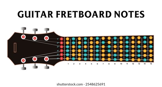 Notes on the guitar fretboard vector illustration, Sharp flat notes on the guitar fretboard, learn the names of the notes on a guitar neck, learn Guitar Fretboard Notes infographic diagram, study