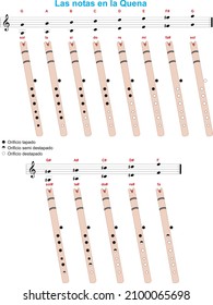 the notes in the quena. In the first octave you should blow gently. In the second octave you should blow a little hard.