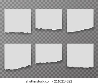 Notes sheet torn paper edge ripped realistic transparent decoration vector background illustration