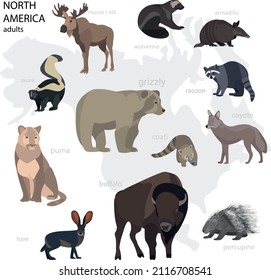 Ilustración de vectores para adultos y niños de animales salvajes norteamericanos