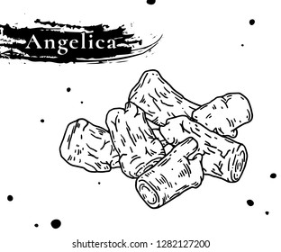 Nourishing Chinese herbal medicine angelica tablets. Angelica sinensis or Angelica archangelica or dong quai or female ginseng.medicinal herb. 
Angelica root used in Chinese Medicinal diet therapy