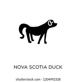 Nova Scotia Duck Tolling Retriever dog icon. Nova Scotia Duck Tolling Retriever dog symbol design from Dogs collection. Simple element vector illustration on white background.