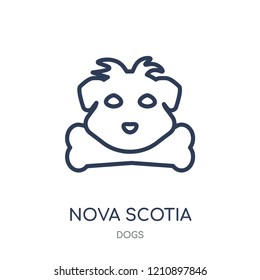 Nova Scotia Duck Tolling Retriever dog icon. Nova Scotia Duck Tolling Retriever dog linear symbol design from Dogs collection. Simple outline element vector illustration on white background.