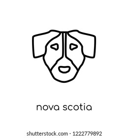 nova scotia duck tolling retriever dog icon. Trendy modern flat linear vector nova scotia duck tolling retriever dog icon on white background from thin line dogs collection, outline vector