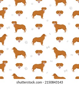 Nova Scotia duck tolling retriever semless pattern. Different poses, coat colors set.  Vector illustration