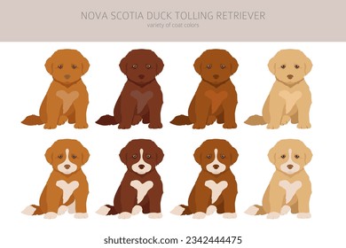 Nova Scotia duck tolling retriever puppies clipart. Different poses, coat colors set.  Vector illustration