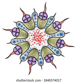 Novel Coronavirus COVID-19 Art Drawing. Pathogenic Organism With DNA Or RNA In The Middle. Infectious Agent, Flu Contamination, Air Pollution, Dust, Airborne Pollen Allergen Particles. Vector.