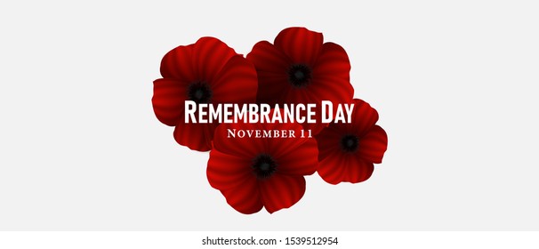 November 11, Remembrance day, A poppy flower design Billboard, Poster, Social Media template vector Illustration