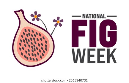 November is National Fig Week. Holiday concept. suitable for placard, background,Greeting Card, Poster design template with text inscription, standard Social Media Post.