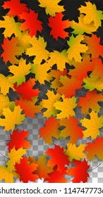 November  Vector Background with Golden Falling Leaves. Autumn Illustration with Maple Red, Orange, Yellow Foliage. Isolated Leaf on Transparent Background. Bright Swirl. Suitable for Covers.