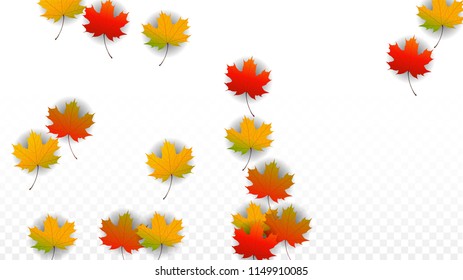 November  Vector Background with Golden Falling Leaves. Autumn Illustration with Maple Red, Orange, Yellow Foliage. Isolated Leaf on Transparent Background. Bright Swirl. Suitable for Cards.