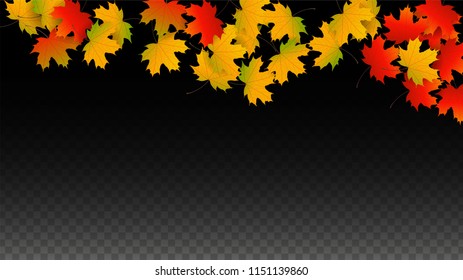 November  Vector Background with Golden Falling Leaves. Autumn Illustration with Maple Red, Orange, Yellow Foliage. Isolated Leaf on Transparent Background. Bright Swirl. Suitable for Cards.