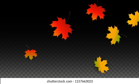 November  Vector Background with Golden Falling Leaves. Autumn Illustration with Maple Red, Orange, Yellow Foliage. Isolated Leaf on Transparent Background. Bright Swirl. Suitable for Posters.