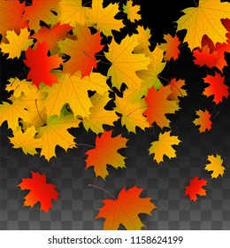 November  Vector Background with Golden Falling Leaves. Autumn Illustration with Maple Red, Orange, Yellow Foliage. Isolated Leaf on Transparent Background. Bright Swirl. Suitable for Covers.