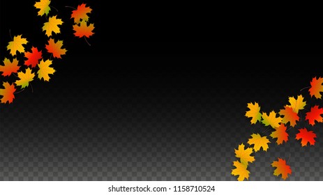 November  Vector Background with Golden Falling Leaves. Autumn Illustration with Maple Red, Orange, Yellow Foliage. Isolated Leaf on Transparent Background. Bright Swirl. Suitable for Posters.