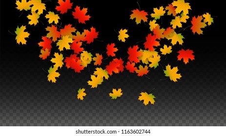 November  Vector Background with Golden Falling Leaves. Autumn Illustration with Maple Red, Orange, Yellow Foliage. Isolated Leaf on Transparent Background. Bright Swirl. Suitable for Covers.