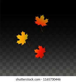 November  Vector Background with Golden Falling Leaves. Autumn Illustration with Maple Red, Orange, Yellow Foliage. Isolated Leaf on Transparent Background. Bright Swirl. Suitable for Banners.