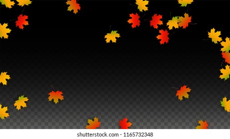 November Vector Background with Golden Falling Leaves. Autumn Illustration with Maple Red, Orange, Yellow Foliage. Isolated Leaf on Transparent Background. Bright Swirl. Suitable for Posters.
