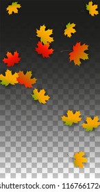 November  Vector Background with Golden Falling Leaves. Autumn Illustration with Maple Red, Orange, Yellow Foliage. Isolated Leaf on Transparent Background. Bright Swirl. Suitable for Covers.