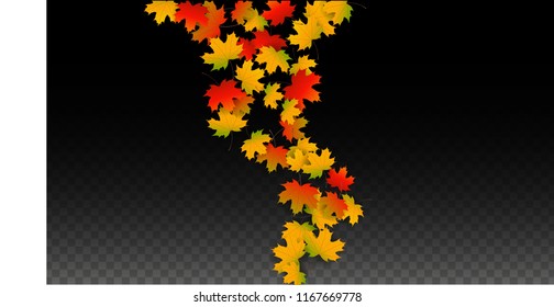 November Vector Background with Golden Falling Leaves. Autumn Illustration with Maple Red, Orange, Yellow Foliage. Isolated Leaf on Transparent Background. Bright Swirl. Suitable for Posters.