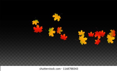 November  Vector Background with Golden Falling Leaves. Autumn Illustration with Maple Red, Orange, Yellow Foliage. Isolated Leaf on Transparent Background. Bright Swirl. Suitable for Banners.