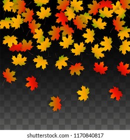 November  Vector Background with Golden Falling Leaves. Autumn Illustration with Maple Red, Orange, Yellow Foliage. Isolated Leaf on Transparent Background. Bright Swirl. Suitable for Covers.