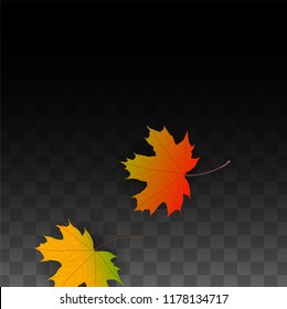 November  Vector Background with Golden Falling Leaves. Autumn Illustration with Maple Red, Orange, Yellow Foliage. Isolated Leaf on Transparent Background. Bright Swirl. Suitable for Covers.