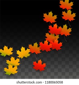 November  Vector Background with Golden Falling Leaves. Autumn Illustration with Maple Red, Orange, Yellow Foliage. Isolated Leaf on Transparent Background. Bright Swirl. Suitable for Covers.