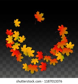 November  Vector Background with Golden Falling Leaves. Autumn Illustration with Maple Red, Orange, Yellow Foliage. Isolated Leaf on Transparent Background. Bright Swirl. Suitable for Covers.