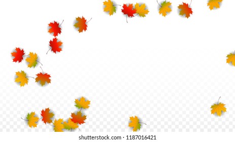 November  Vector Background with Golden Falling Leaves. Autumn Illustration with Maple Red, Orange, Yellow Foliage. Isolated Leaf on Transparent Background. Bright Swirl. Suitable for Cards.