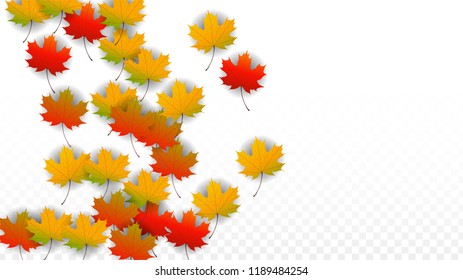 November  Vector Background with Golden Falling Leaves. Autumn Illustration with Maple Red, Orange, Yellow Foliage. Isolated Leaf on Transparent Background. Bright Swirl. Suitable for Banners.